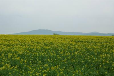 私の四季　in 北海道　５月～７月編