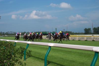 2001年夏　新潟競馬場