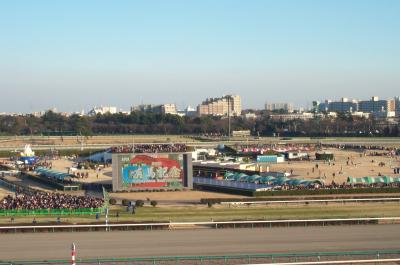 2005年　有馬記念（中山競馬場）