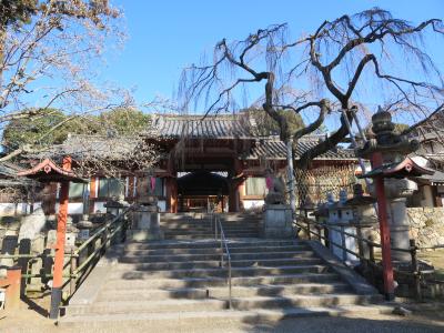 母と行く冬の氷室神社＆春日大社＆二月堂☆２月５日に行った県立美術館も一緒に♪