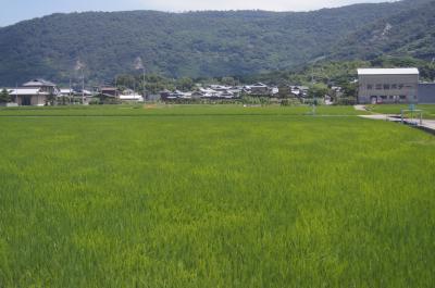 １泊２日広島六口島～徳島鳴門の旅Ⅱ