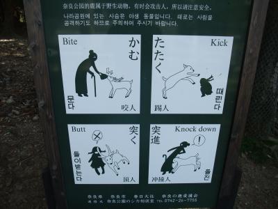 2012.4 奈良①～世界遺産・古都奈良の文化財