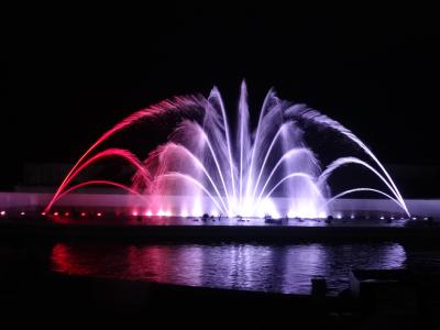 本栖湖から富士山を見るツアーは、ラスベガス（？）の噴水を見るツアーに！格安ツアーは、リベンジ必至のツアーに変身…