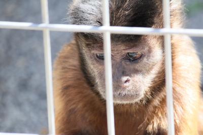 久しぶり、浜松の動物園へ