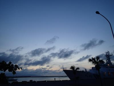 石垣島 ダイビング三昧