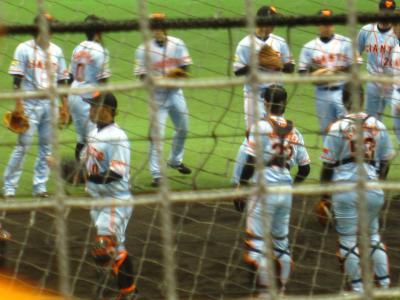 宮崎旅行〜宮崎巨人キャンプ2014〜