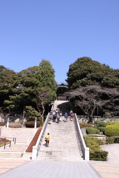 春分の3連休日帰りドライブ(宇都宮餃子から佐野アウトレットまで)