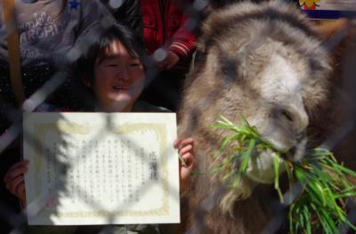 野毛山動物園★ツガルさんの感謝状贈呈式