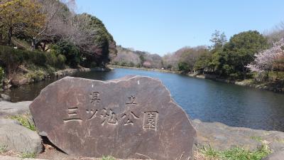 横浜市鶴見区の「県立三ツ池公園」とみその公園「横溝屋敷」をウォーキングしました！