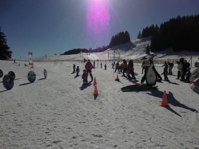 東スイス・ドラゴンの山の反対側でスキー日和【スイス情報.com】