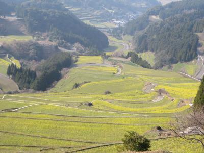 天山から蕨野の棚田へ　3/22