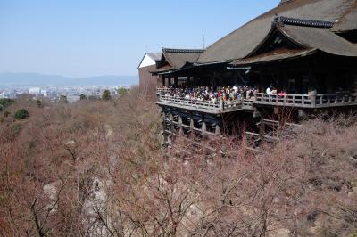 母と二人の京都旅行