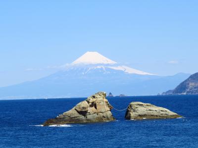 西伊豆から南伊豆ドライブ　～　“堂ヶ島・雲見海岸・石廊崎の絶景を堪能し～日野の菜の花畑に癒されて～ドーミーイン三島宿泊”