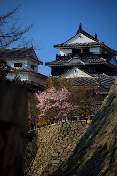 愛媛　別子銅山と道後温泉