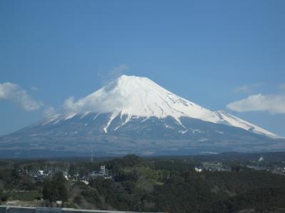 家族でのんびり西伊豆・湯ヶ島温泉 その1 新東名から大瀬崎・煌めきの丘へ　