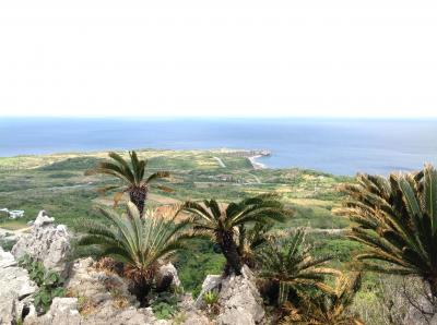 沖縄本島　２大聖地（大石林山＆斎場御嶽）を巡る旅　　2日目　大石林山