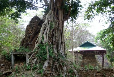 2014春、カンボジア旅行記2(13/47)：3月20日(3)：サンボー・プレイ・クック、周辺に地雷が残る遺跡