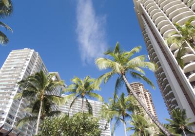 ワイキキアンにいきました!