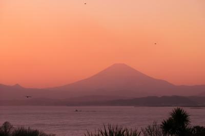 江の島のライトアップ見てきました