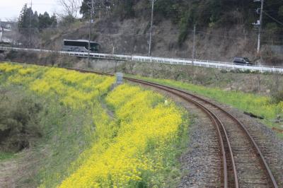 南房総旅行記２０１４年春③続・いすみ鉄道乗車編