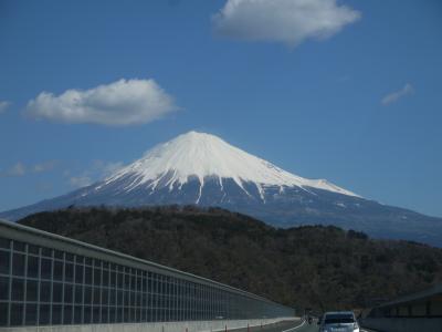 早春の伊豆へ家族旅　（１）清水PA・東府やベーカリー＆カフェ・浄蓮の滝・旧天城トンネル