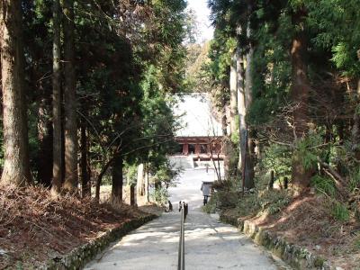 2014年03月　比叡山延暦寺へのウオーキング（雲母坂ルート）と京都市内のサイクリング