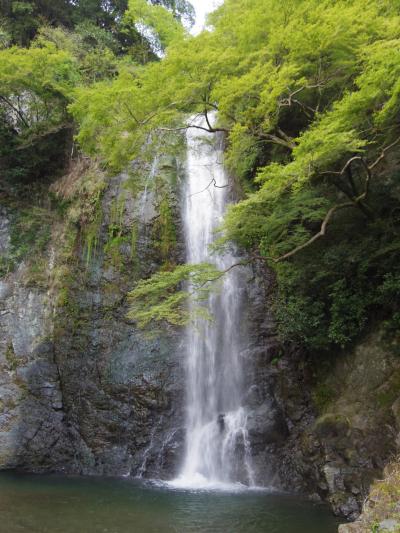 箕面の滝　散歩