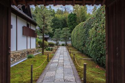 京都観光庭園の旅ときどき寺社
