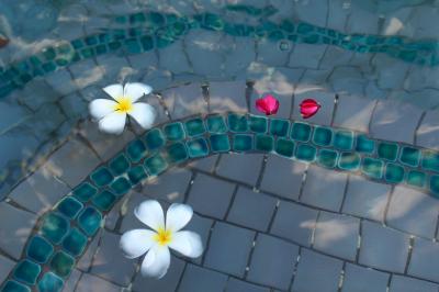 ダイビング in グアム & 飲茶 in 香港 ②