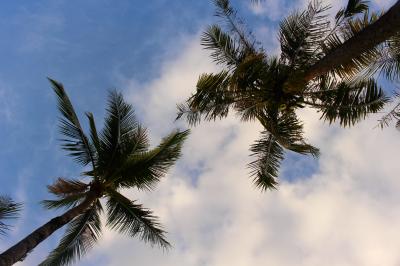 ダイビング in グアム & 飲茶 in 香港 ③