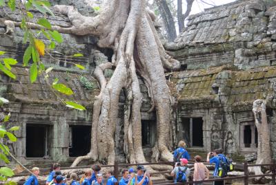 2014春、カンボジア旅行記2(37/47)：3月22日(8)：タ・プロム遺跡、ガジュマルの古木、中央祠堂、回廊、周壁、修復工事現場