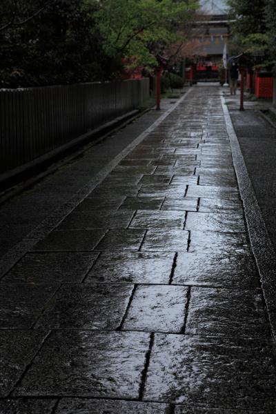 京都　早咲きの桜めぐり～車折神社