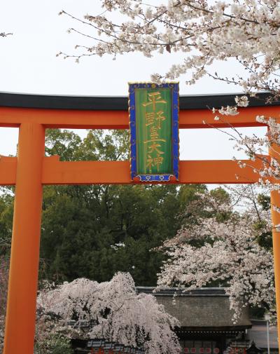 京都の桜　2014　～平野神社、千本釈迦堂～