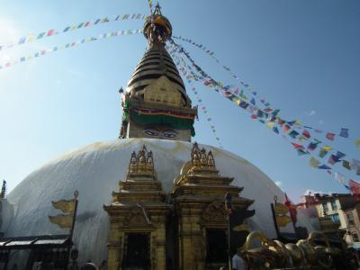 ネパール・ヒマラヤ展望とチトワン国立公園の旅　⑧‐⑦