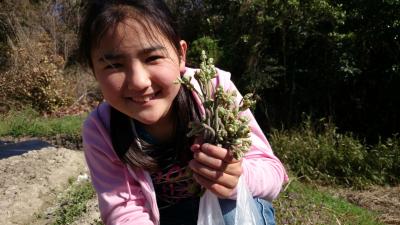 目指せ養蜂家！ 新たな趣味がスタート 巣箱創作編