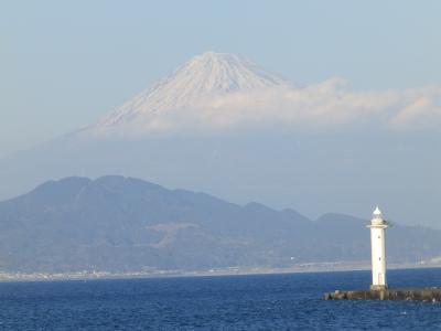 富士山の麓を