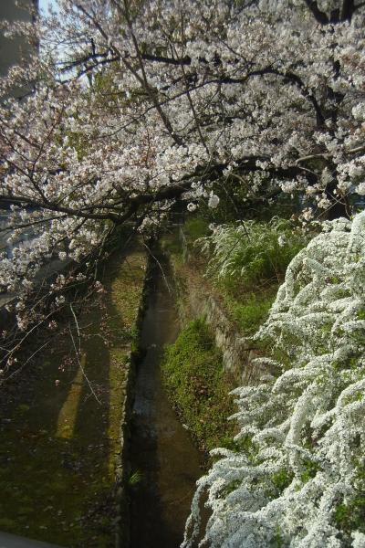 観光させてよ☆京都出張！！準備チュ