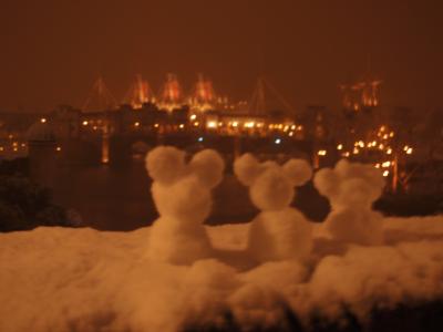 大雪でもへっちゃら!スカイツリー&TDR子連れ旅 三日目TDS