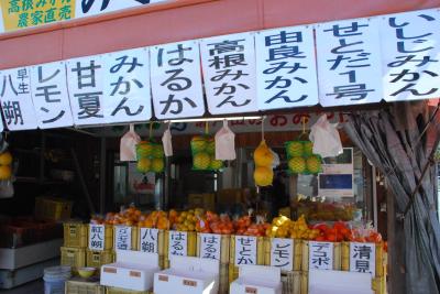 しまなみ海道　柑橘類いっぱいの瀬戸田を散策