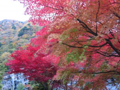 山梨温泉旅行記@西山温泉 慶雲閣