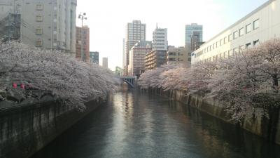 花見とイタリアンバル