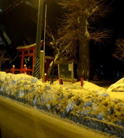 【国内143】2014.2大雪の八戸とんぼがえり，仙台まで帰ることができず急遽盛岡に宿泊