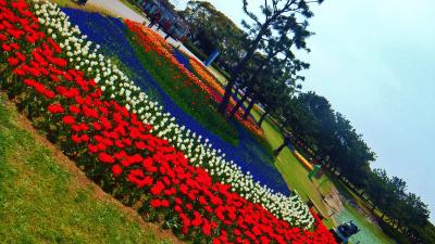 Peachで行く！春の福岡への旅！