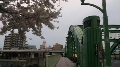 さくら～さくら～♪♪東京あちこち街歩き。隅田川～上野。