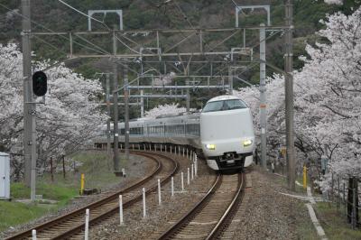 桜紀行　2014　PART 6　ＪＲ阪和線　山中渓駅を訪ねて 