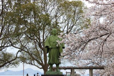 赤穂御崎公園の桜
