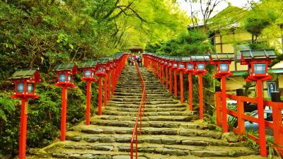 京の自然を求めて。自然と寺院の調和を感じる旅へ。