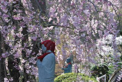 織物で栄えた桐生の近代化遺産と桜を訪ねて