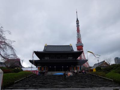 春の嵐の中、増上寺に桜見物