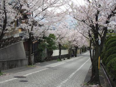 石切神社と桜